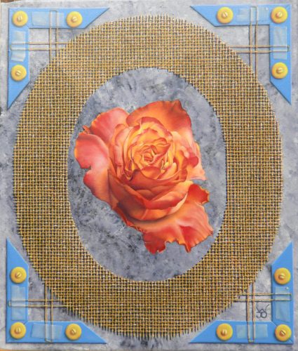 Dit is Rosa, nicht van de Rosaceae-familie, This is Rosa, cousin of the Rosaceae-family   nov 2025   (35x30 cm)