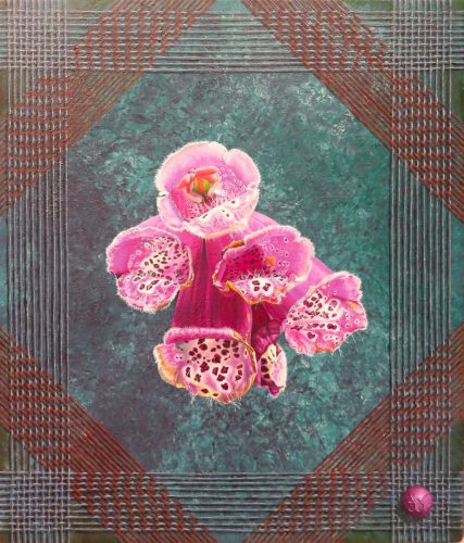 Digitalis-purpurea   mrt 2026  (35x30 cm )